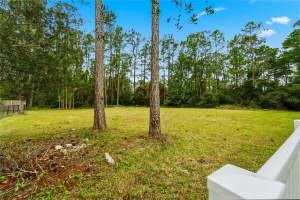 BRAY RD, ORLANDO, FL 32832 - MLS#MFRO6364519