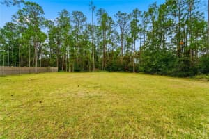BRAY RD, ORLANDO, FL 32832 - MLS#MFRO6364519