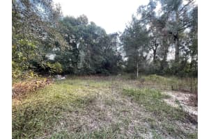 20180 141ST STREET, UMATILLA, FL 32784 - MLS#MFRO6364682