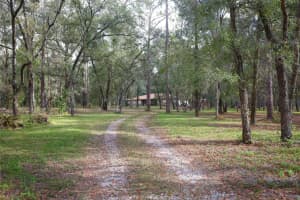 37600 ROLLING ACRES ROAD, LADY LAKE, FL 32159 - MLS#MFRO6364705