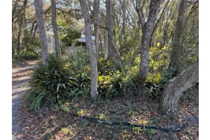 13218 VIVIAN LANE, HUDSON, FL 34669 - MLS#MFRO6364711