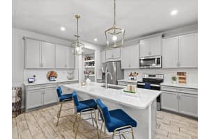 19421 BLUE POND DRIVE, LUTZ, FL 33558 - MLS#MFRO6364788