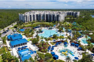 , WINTER GARDEN , WINTER GARDEN