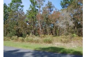 2084 RILEY DRIVE, CITRUS SPRINGS, FL 34434 - MLS#MFRO6364824