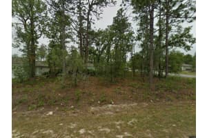 2084 RILEY DRIVE, CITRUS SPRINGS, FL 34434 - MLS#MFRO6364824