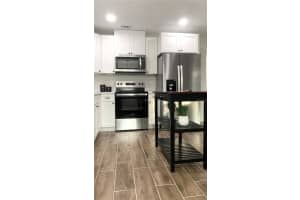 115 LAKE PLEASANT ROAD, APOPKA, FL 32703 - MLS#MFRO6365310