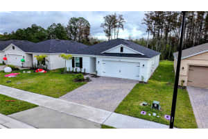 3293 SANCTUARY DRIVE, CLERMONT, FL 34714 - MLS#MFRO6365314