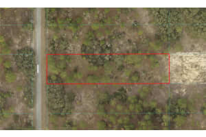 SW 206TH AVE, DUNNELLON, FL 34431 - MLS#MFRO6365363