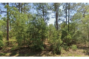 NW WATER OAK AVE, DUNNELLON, FL 34431 - MLS#MFRO6365469