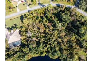 3839 RAMBLING ACRES DR, TITUSVILLE, FL 32796 - MLS#MFRO6365479