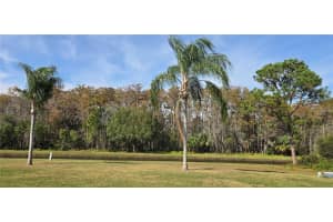 11231 SCENIC VIEW LANE, ORLANDO, FL 32821 - MLS#MFRO6365506