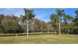 11231 SCENIC VIEW LANE, ORLANDO, FL 32821 - MLS#MFRO6365506