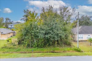 1116 SAINT MICHEL WAY, KISSIMMEE, FL 34759 - MLS#MFRO6365539