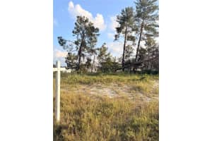 143 ZINNIA LANE, KISSIMMEE, FL 34759 - MLS#MFRO6365644