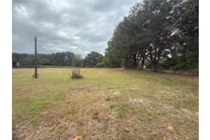 3700 W HIGHWAY 316, REDDICK, FL 32686 - MLS#MFRO6365653