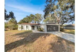 3305 PEACOCK LANE, MULBERRY, FL 33860 - MLS#MFRO6365708