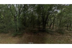 3298 PIERCE STREET, INVERNESS, FL 34453 - MLS#MFRO6365923