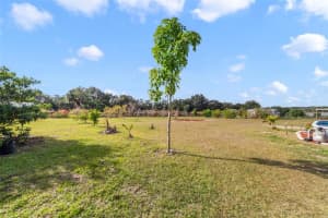 37041 THRILL HILL ROAD, EUSTIS, FL 32736 - MLS#MFRO6365927