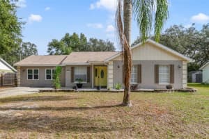 40140 PALM STREET, LADY LAKE, FL 32159 - MLS#MFRO6365957