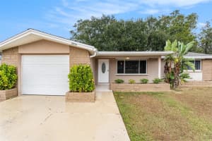 3036 BLUE BIRD DRIVE, HOLIDAY, FL 34690 - MLS#MFRO6366135