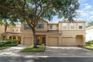 9317 STONE RIVER PLACE, RIVERVIEW, FL 33578 - MLS#MFRO6366141