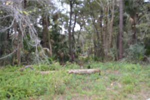 0 HESTER AVENUE AVENUE, SANFORD, FL 32773 - MLS#MFRO6366149