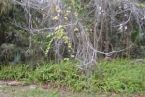 0 HESTER AVENUE AVENUE, SANFORD, FL 32773 - MLS#MFRO6366149