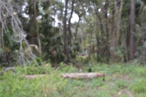 0 HESTER AVENUE AVENUE, SANFORD, FL 32773 - MLS#MFRO6366149