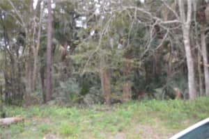 0 HESTER AVENUE AVENUE, SANFORD, FL 32773 - MLS#MFRO6366149