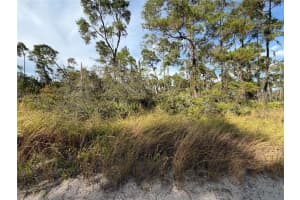 478 DARTER AVENUE, SEBRING, FL 33870 - MLS#MFRO6366377