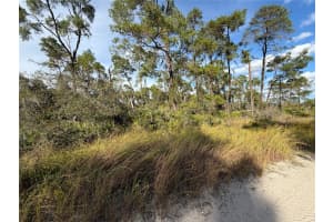 556 QUAIL AVENUE, SEBRING, FL 33870 - MLS#MFRO6366382