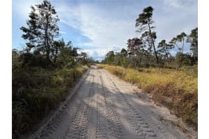 556 QUAIL AVENUE, SEBRING, FL 33870 - MLS#MFRO6366382