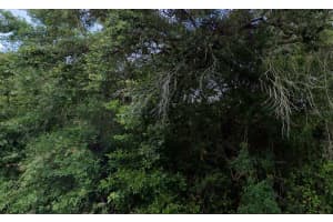 3288/3302 ALISA LANE, INVERNESS, FL 34453 - MLS#MFRO6366386