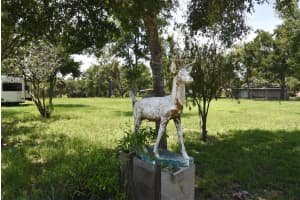 3100 POVERTY LANE, APOPKA, FL 32712 - MLS#MFRO6366447