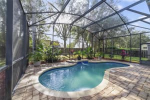 846 ROCKFORD ROAD, APOPKA, FL 32712 - MLS#MFRO6366469