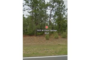 1635 CITRUS SPRINGS BOULEVARD, CITRUS SPRINGS, FL 34434 - MLS#MFRO6366483