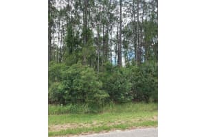 BRISTOL AVE #LOT 21, NORTH PORT, FL 34291 - MLS#MFRO6366492