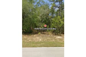 9648 COUNTRY CLUB WAY, CITRUS SPRINGS, FL 34434 - MLS#MFRO6366528