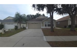 17417 Lawn Orchid Loop, LAND O LAKES