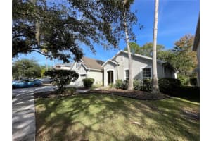 16161 COLCHESTER, TAMPA, FL 33647 - MLS#MFRO6367128