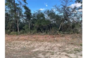 165 STREET ROAD, OCALA, FL 34473 - MLS#MFRO6367195
