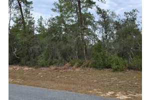 165 STREET ROAD, OCALA, FL 34473 - MLS#MFRO6367195