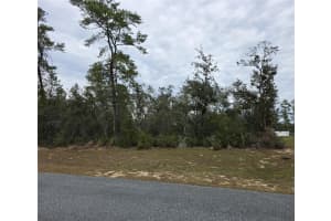 165 STREET ROAD, OCALA, FL 34473 - MLS#MFRO6367195