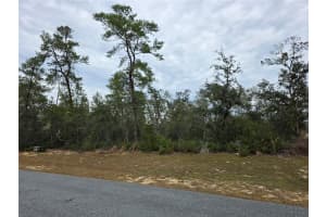 165 STREET ROAD, OCALA, FL 34473 - MLS#MFRO6367195