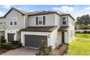 1430 SAGE BUSH STREET, OCOEE, FL 34761 - MLS#MFRO6367201