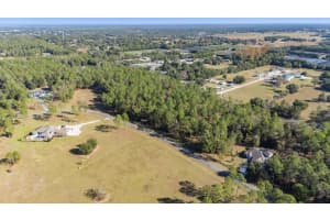 24238 DEEP SPRINGS LOOP, EUSTIS, FL 32736 - MLS#MFRO6367276