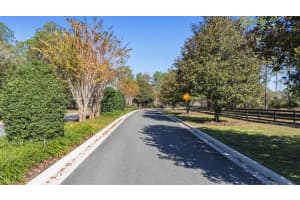 24238 DEEP SPRINGS LOOP, EUSTIS, FL 32736 - MLS#MFRO6367276