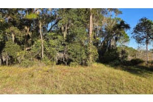 3009 PARMA DRIVE, DELTONA, FL 32738 Sold 02/23/26