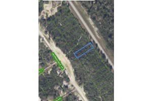 961 COUNTY ROAD 29, LAKE PLACID, FL 33852 - MLS#MFRO6367320
