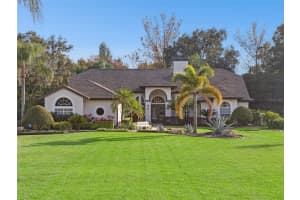 10442 BIRCH TREE LANE, WINDERMERE, FL 34786 - MLS#MFRO6367335